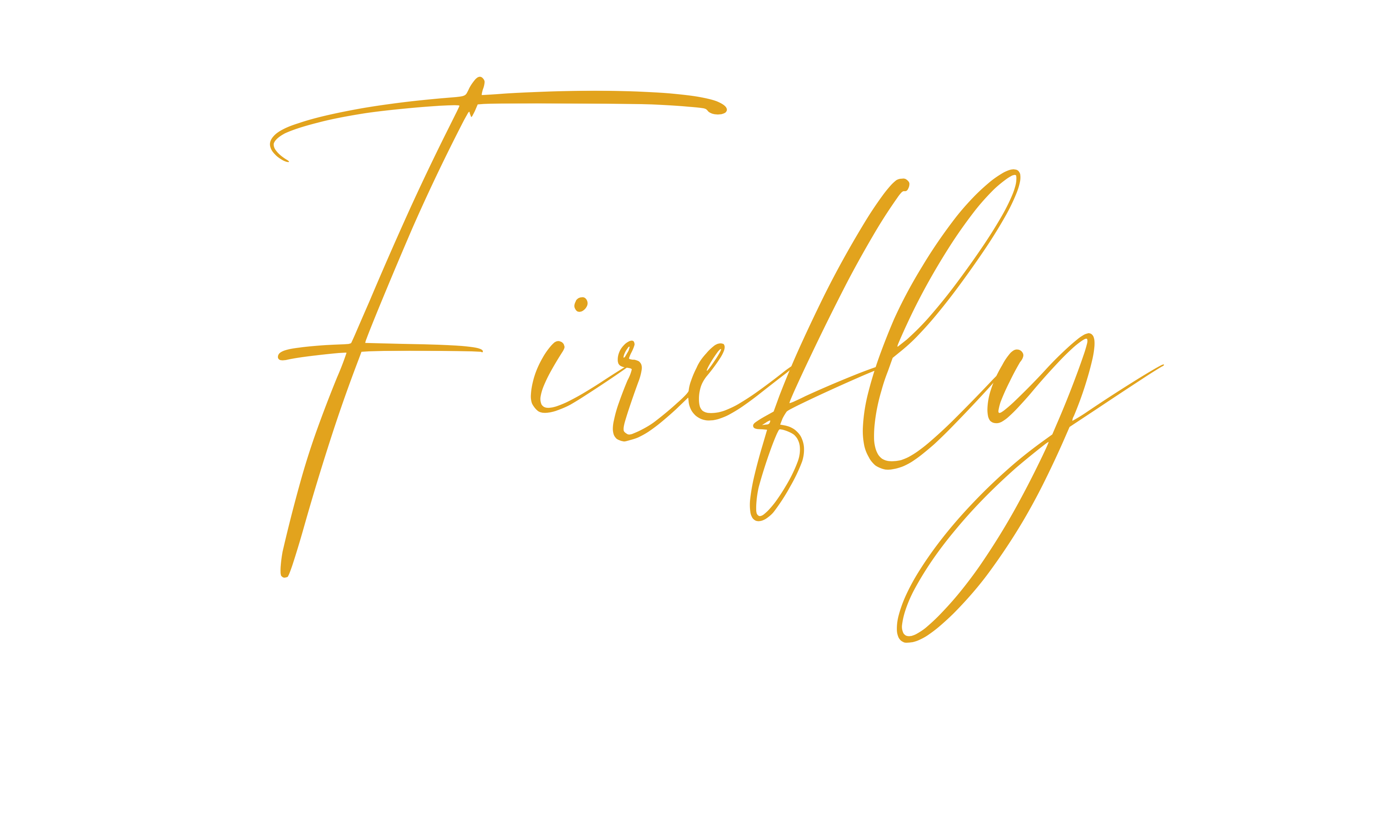 firefly home designs